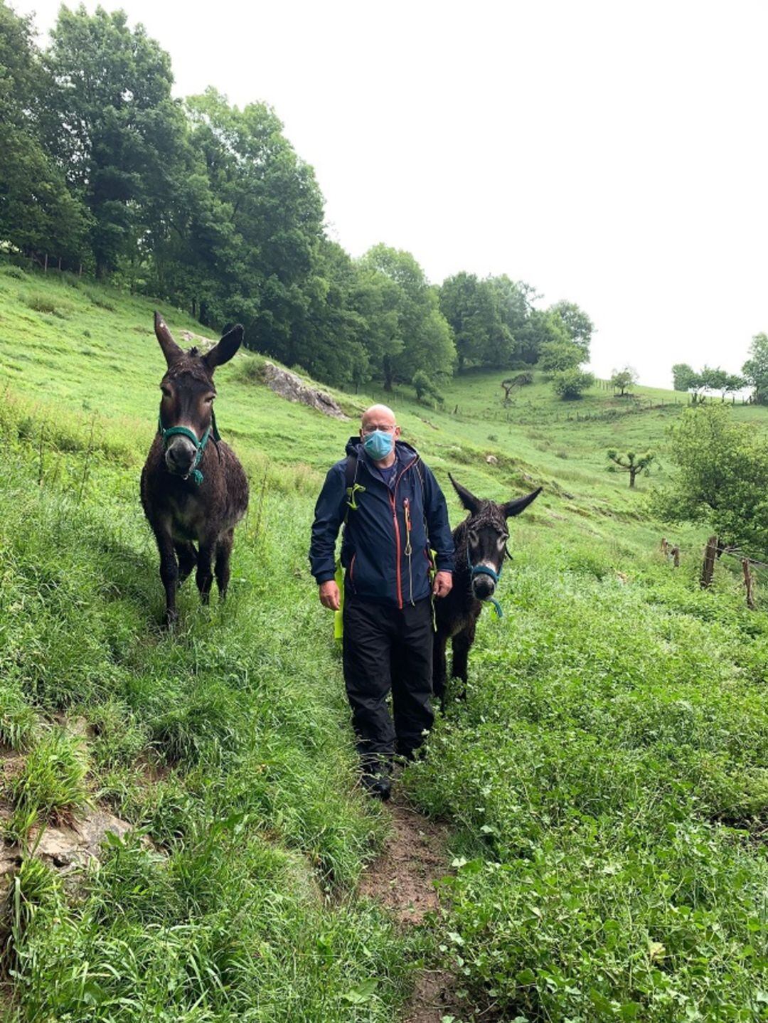 Murray acompañado de dos burros recorre las etapas vascas del camino Ignaciano 