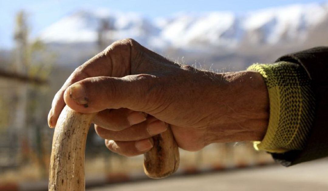 Se ha contactado telefónicamente con más de 1.700 mayores de la isla