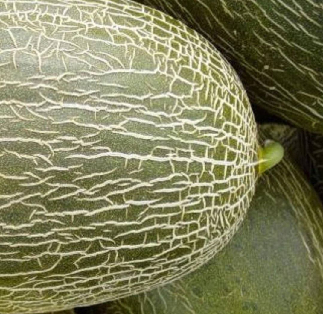 Melón de La Mancha