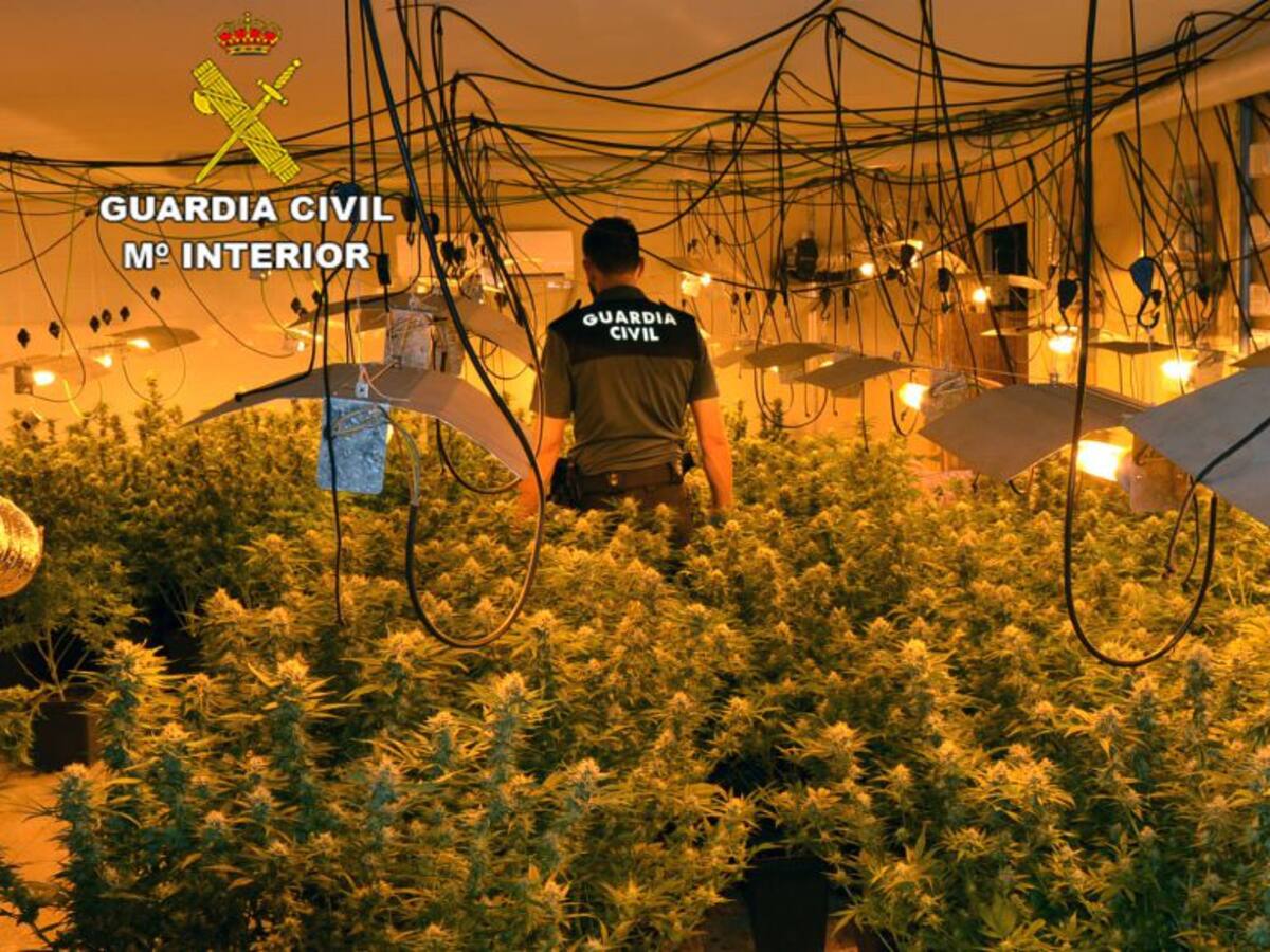 Desmantelan una organización criminal por robos con violencia y 'vuelco' de drogas