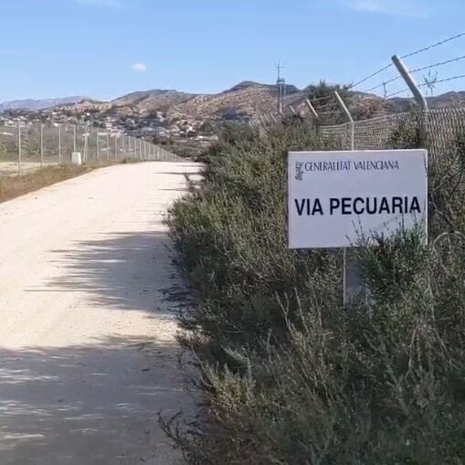 Imagen de una vía pecuaria en Elche