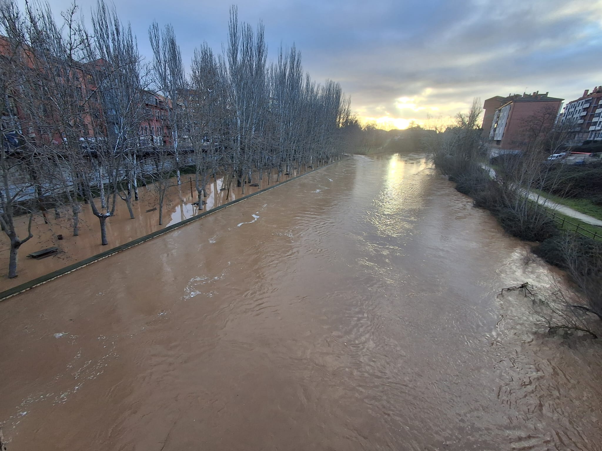 Estado del Duero a su paso por el casco urbano de Aranda este viernes a primera hora