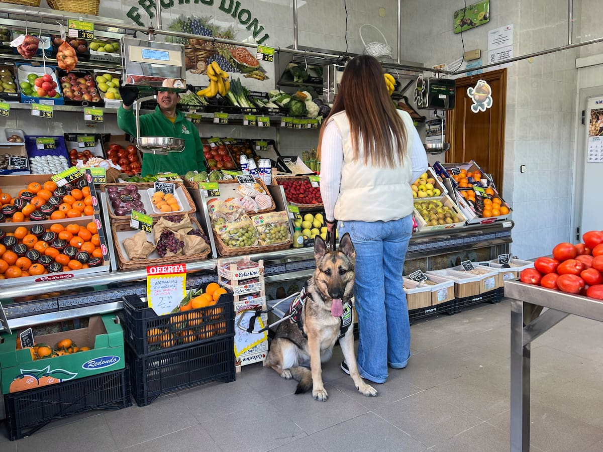 El perro guía de la ONCE en Palencia reclama su derecho de acceso a establecimientos de alimentación