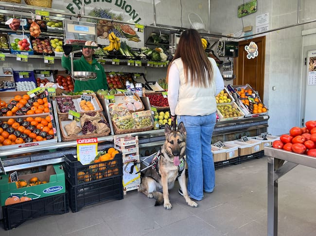El perro guía de la ONCE en Palencia reclama su derecho de acceso a establecimientos de alimentación