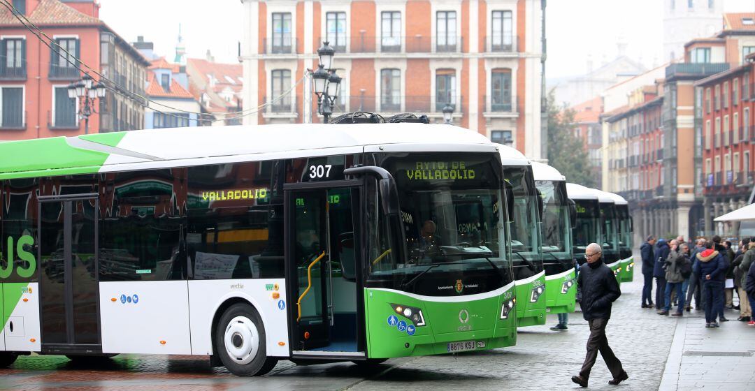 La aplicación del ERTE en Auvasa implica una reducción de servicios