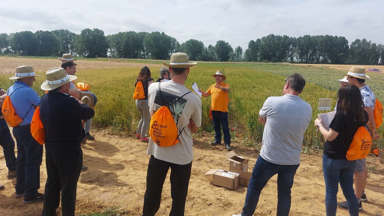 Ensayo en Fuentes de Nava