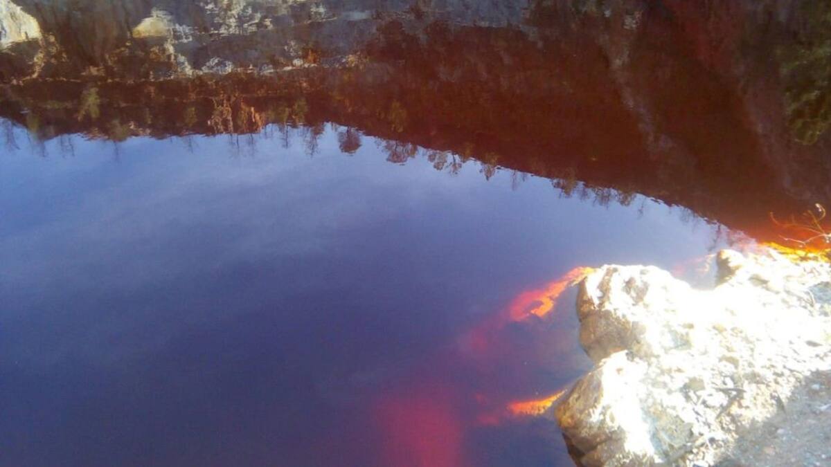 Reportaje sobre posible vida en Marte