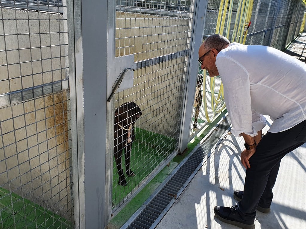 Jaume Rutllant visitant el Refugi dels Peluts. Foto: Paeria.