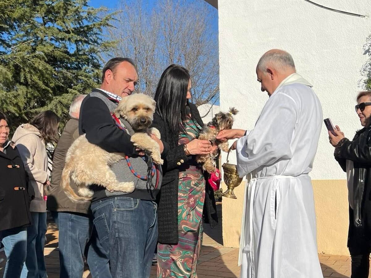 El patrón de los animales se vuelve a celebrar con ilusión en localidades de CLM como Gálvez o Almagro, también San Sebastián en Valdepeñas de la Sierra