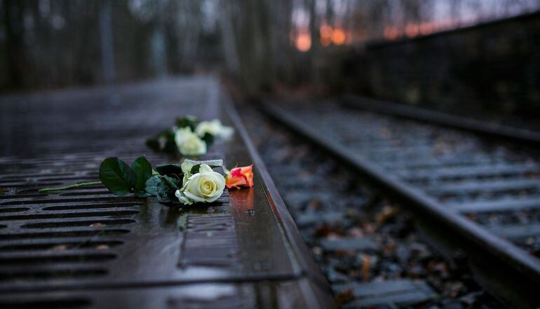 FOTOGALERÍA | Rosas en una de las vías que conducía a los campos de concentración