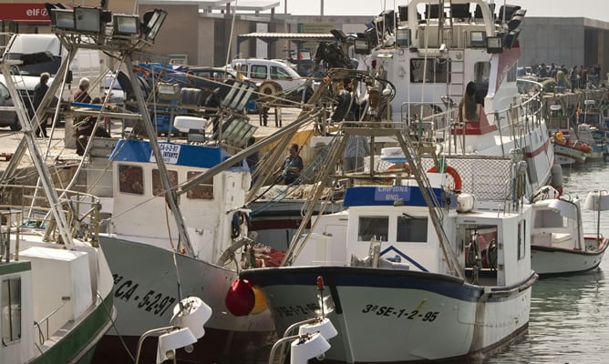 Imagen del puerto de Barbate