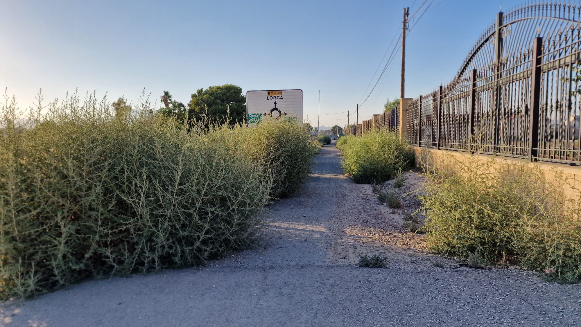 Carril bici en Lorca