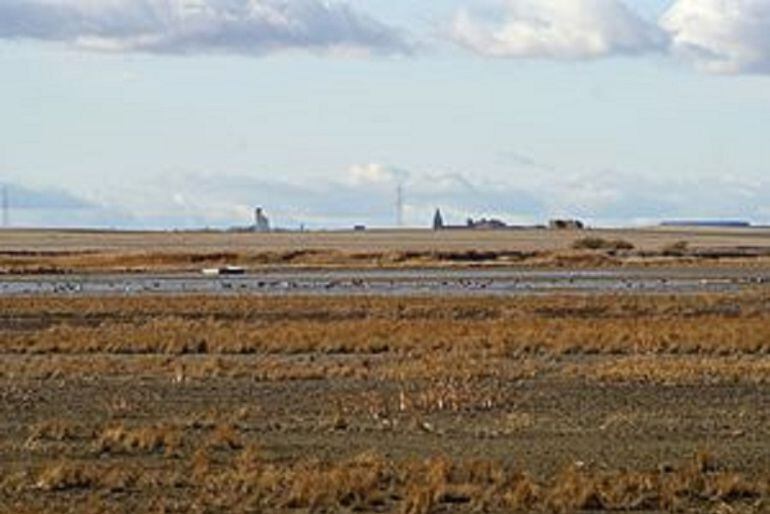 Laguna de Pedraza de Campos