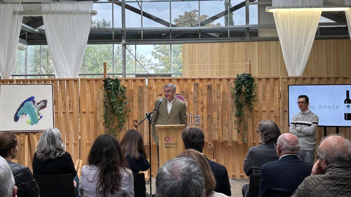 Vino Amigo 2024 - Valentia -Enate