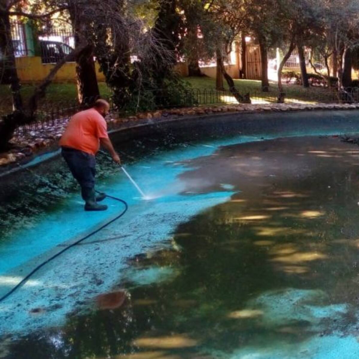 Alimentar a los patos los enferma, contamina el agua y atrae a roedores