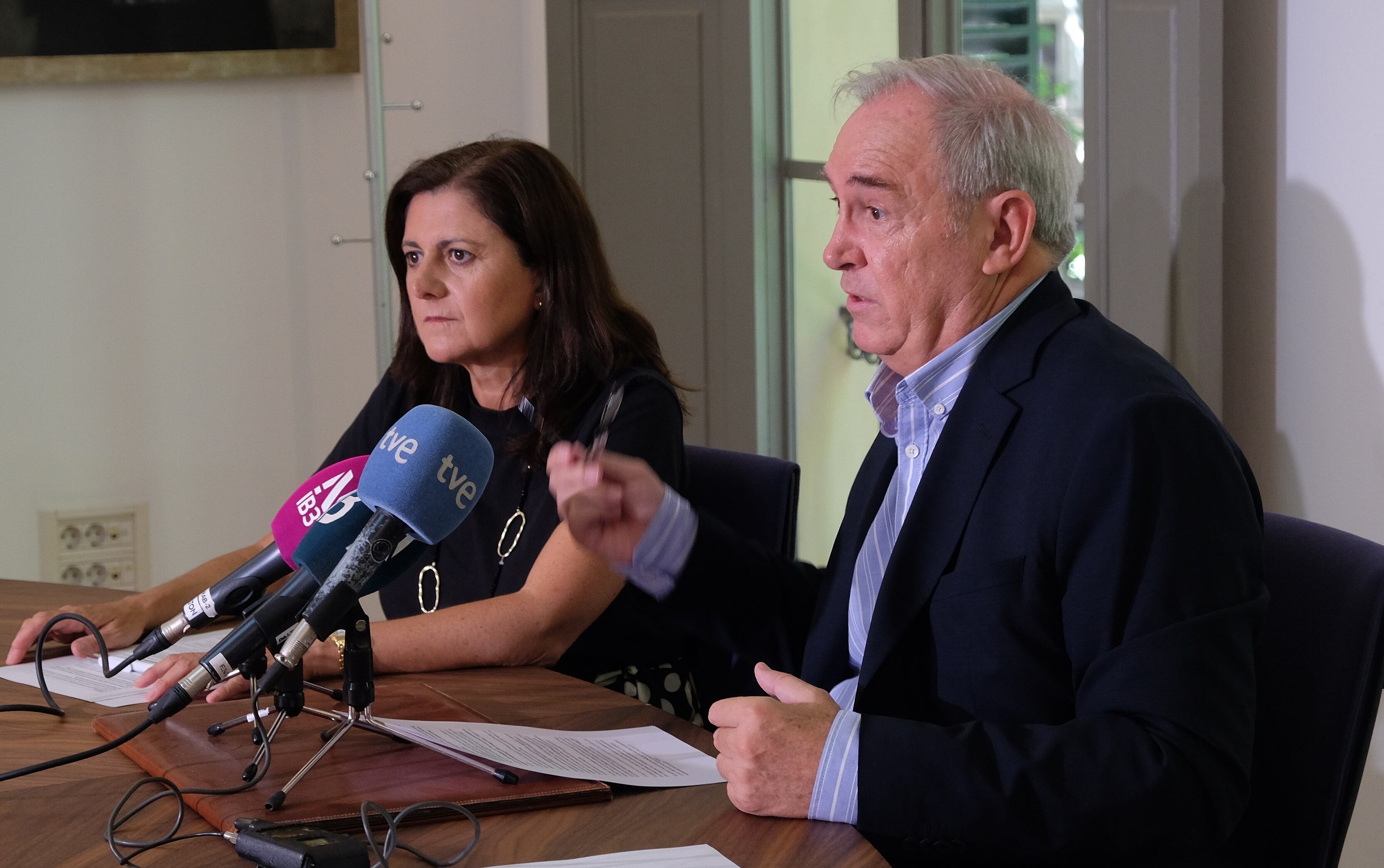 Un momento durante la presentación de los datos