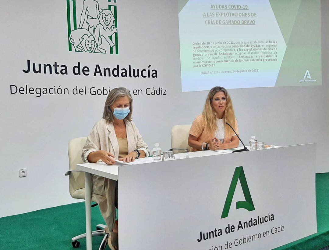 Ana Mestre durante el encuentro