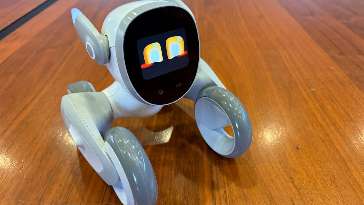 Expertos destacan el potencial del robot “Lona” en Ortuella para acompañar a mayores, pero advierten de la necesidad de integrar la tecnología en los sistemas asistenciales