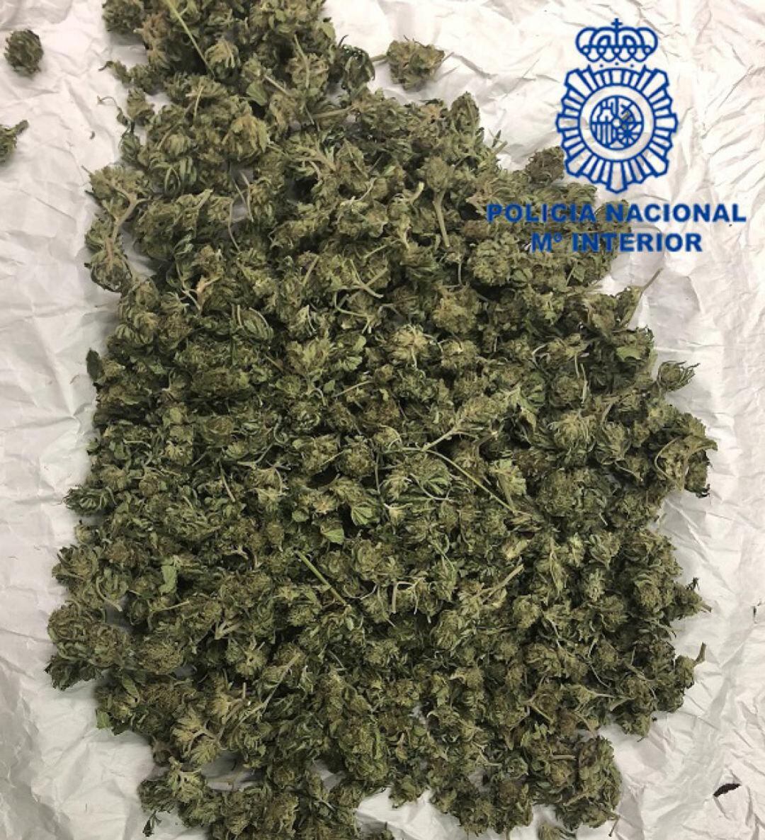 Parte de la marihuana intervenida