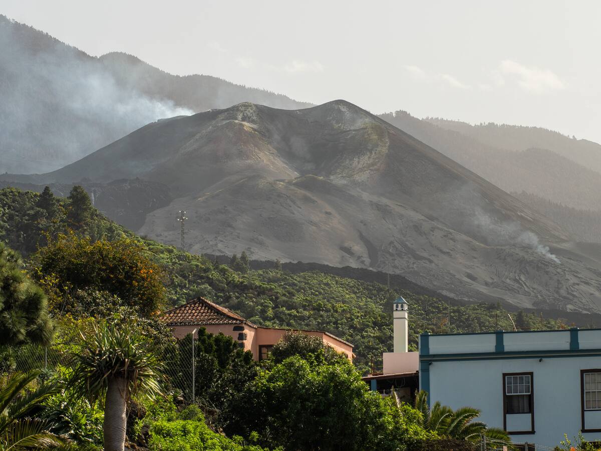 COMENTARIO CASTAÑEDA 19 SEPTIEMBRE