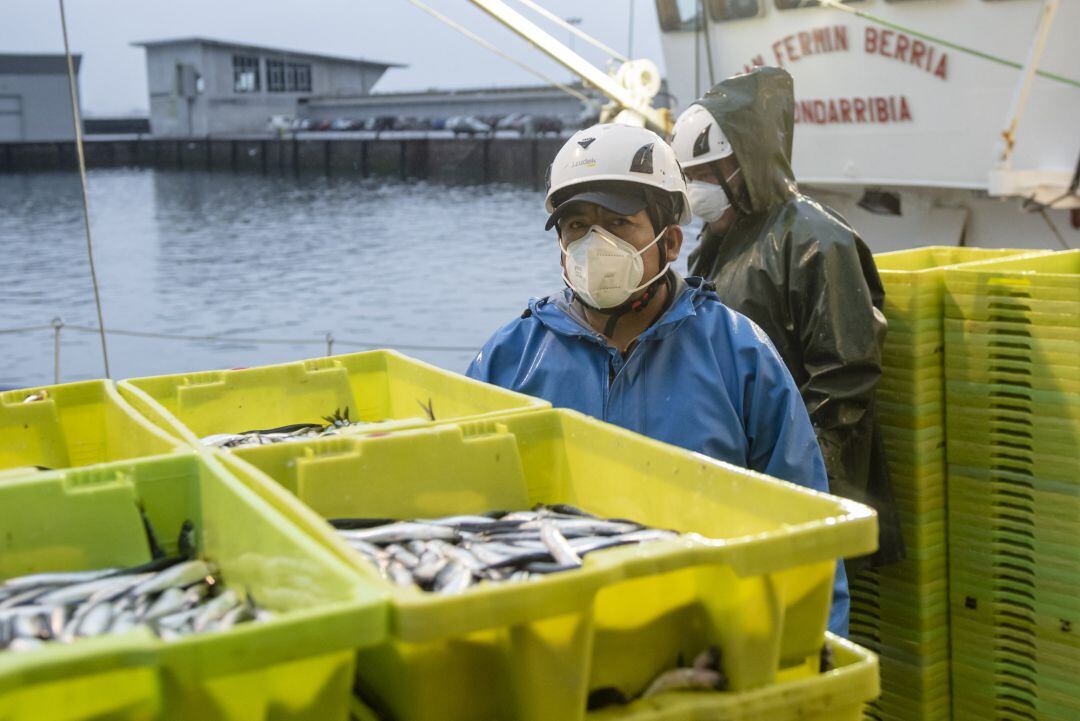 El stock de anchoa ha registrado su máximo histórico en el Golfo de Vizcaya, con una biomasa estimada de 330.000 toneladas, según los datos de la última campaña Bioman impulsada por el centro de investigación Azti.