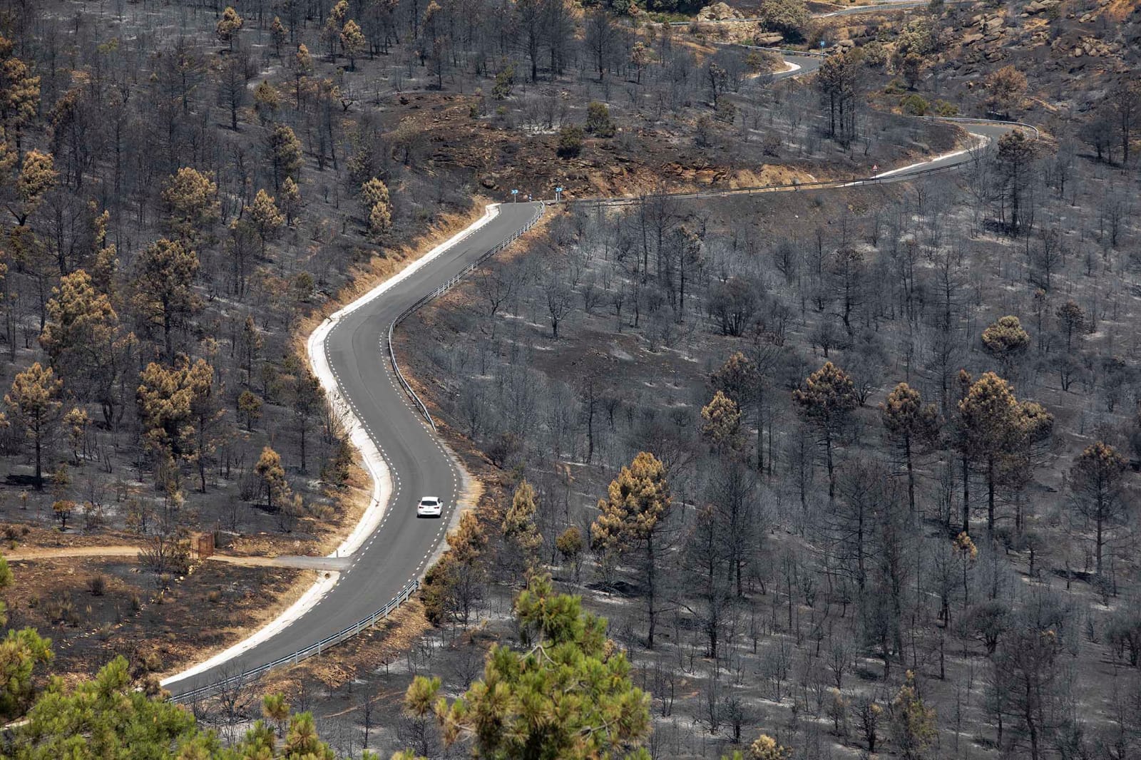 Carretera AV-503, que une Cebreros con San Bartolomé de Pinares