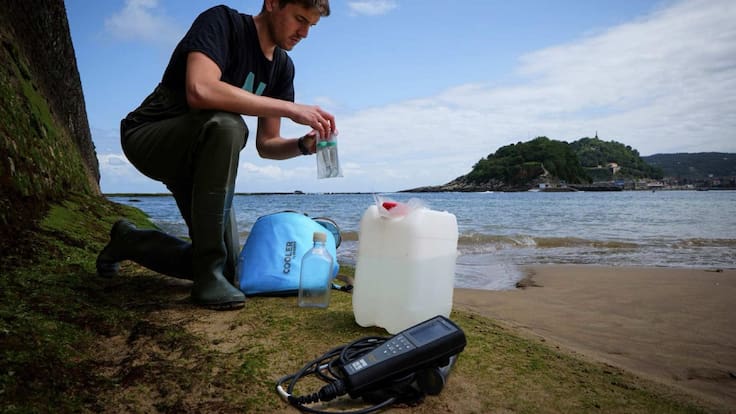 Confirman la presencia de una microalga potencialmente tóxica en la Bahía de la Concha