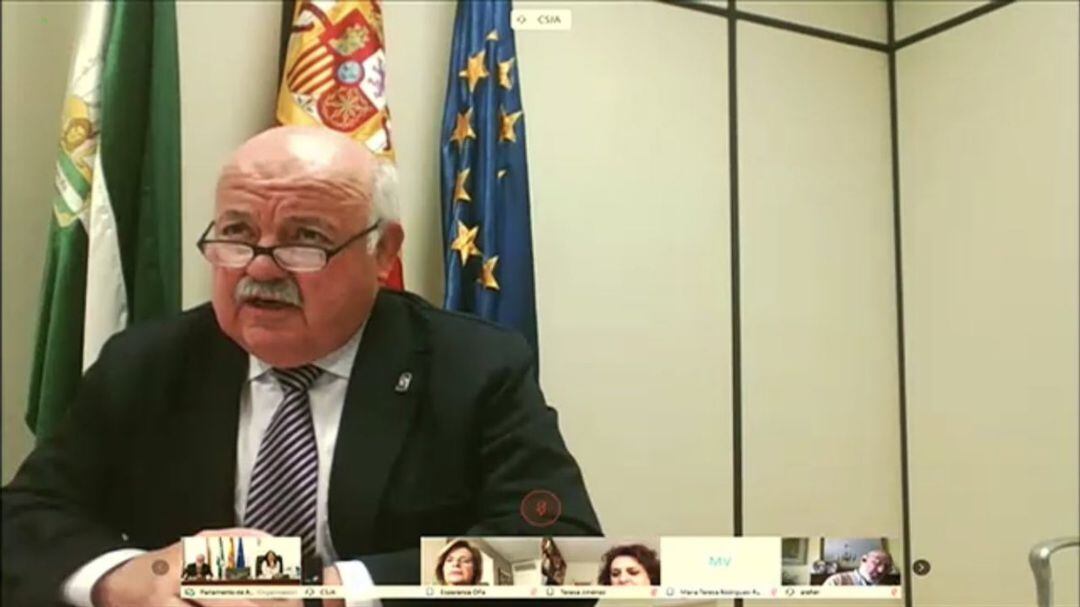 El consejero de Salud, Jesús Aguirre, durante la comparecencia telemática ante la Diputación Permanente del Parlamento Andaluz
