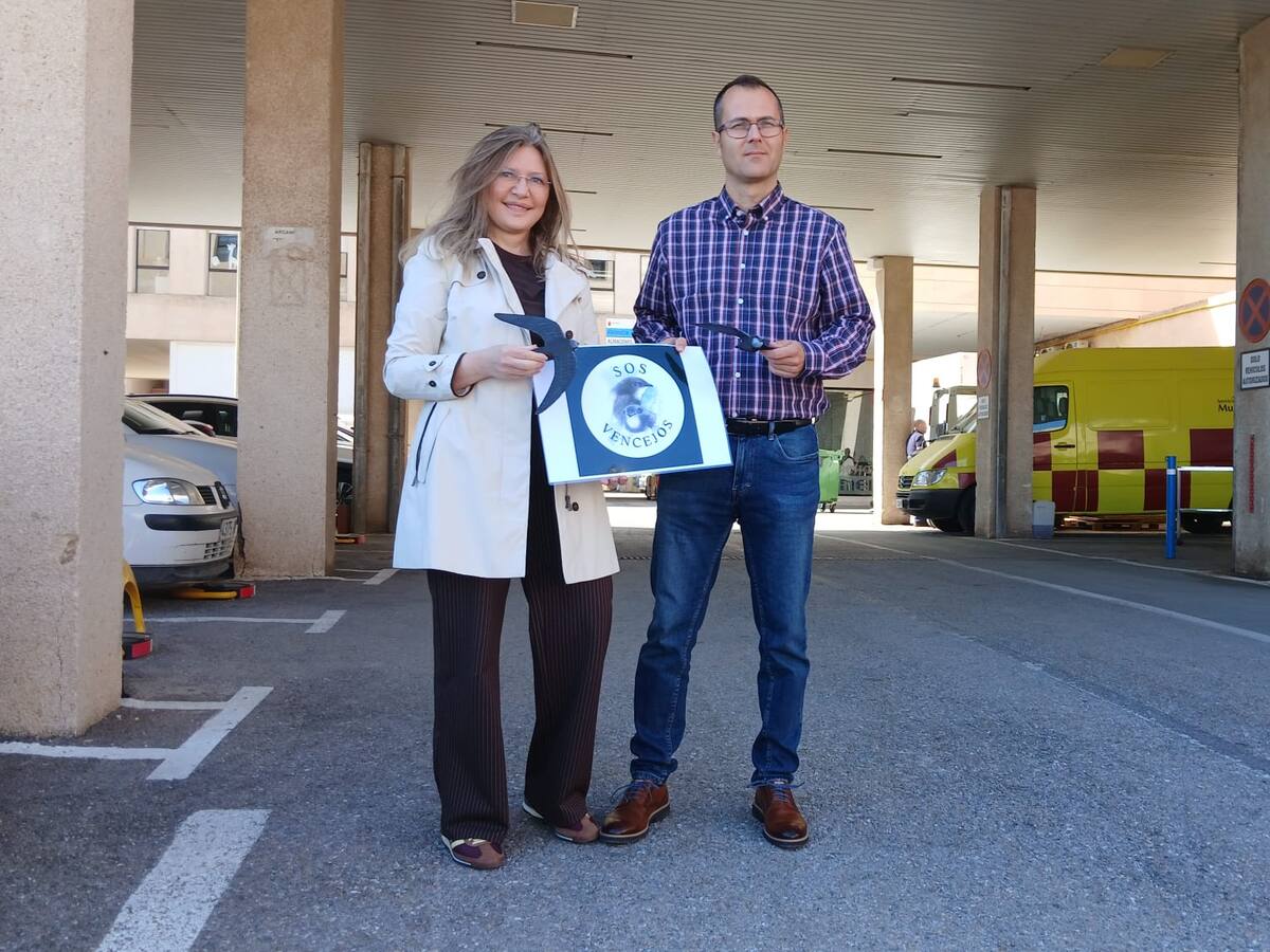 Instalan 10 cajas nido para vencejos en las inmediaciones del Hospital Rafael Méndez de Lorca