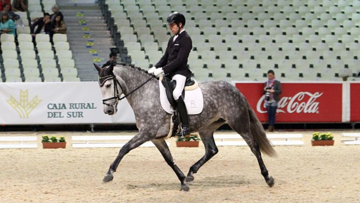 Una yegua abulense se proclama Campeona del Mundo de Doma Clasica