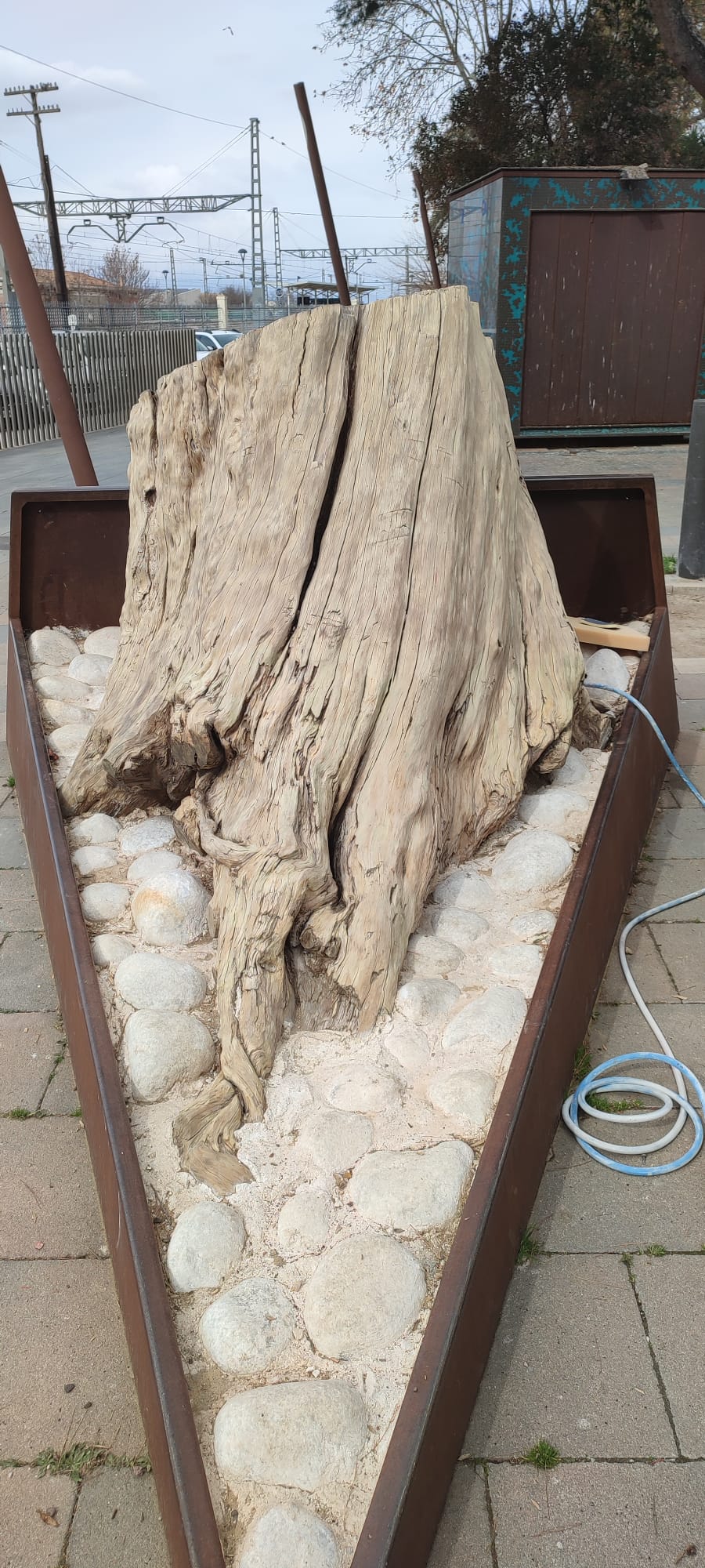 Tocón del Paseo Chapí