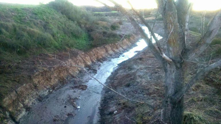 Arroyo de San Martín de Pusa