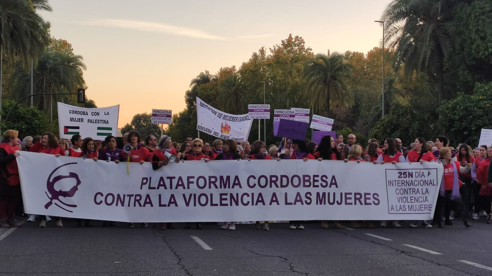 Manifestación contra la violencia de género en Córdoba