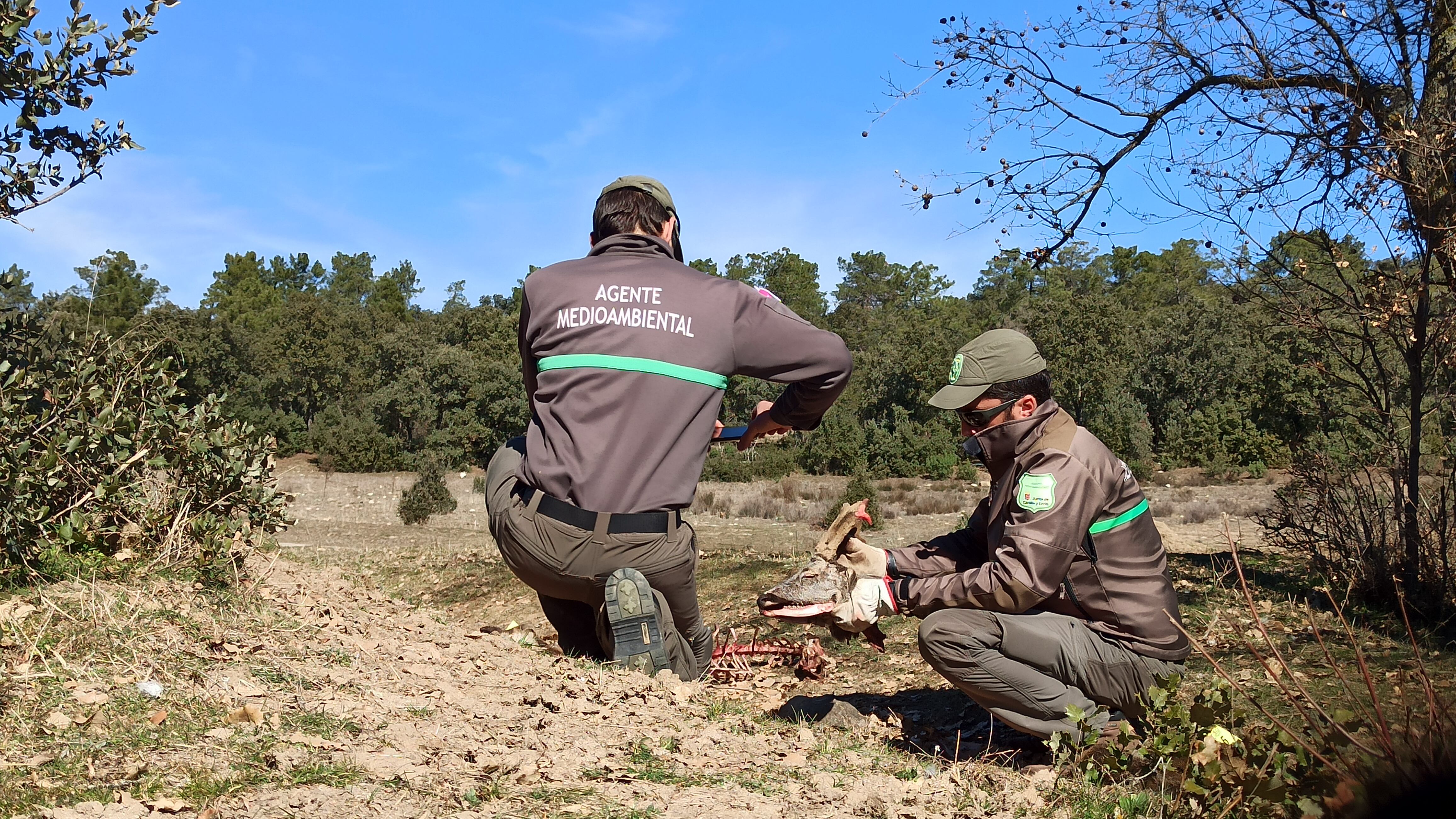 Agentes Medioambientales realizando inspecciones en el lugar de los hechos