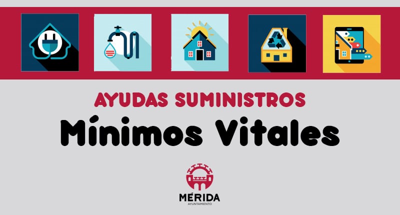 Ayudas Mínimos Vitales