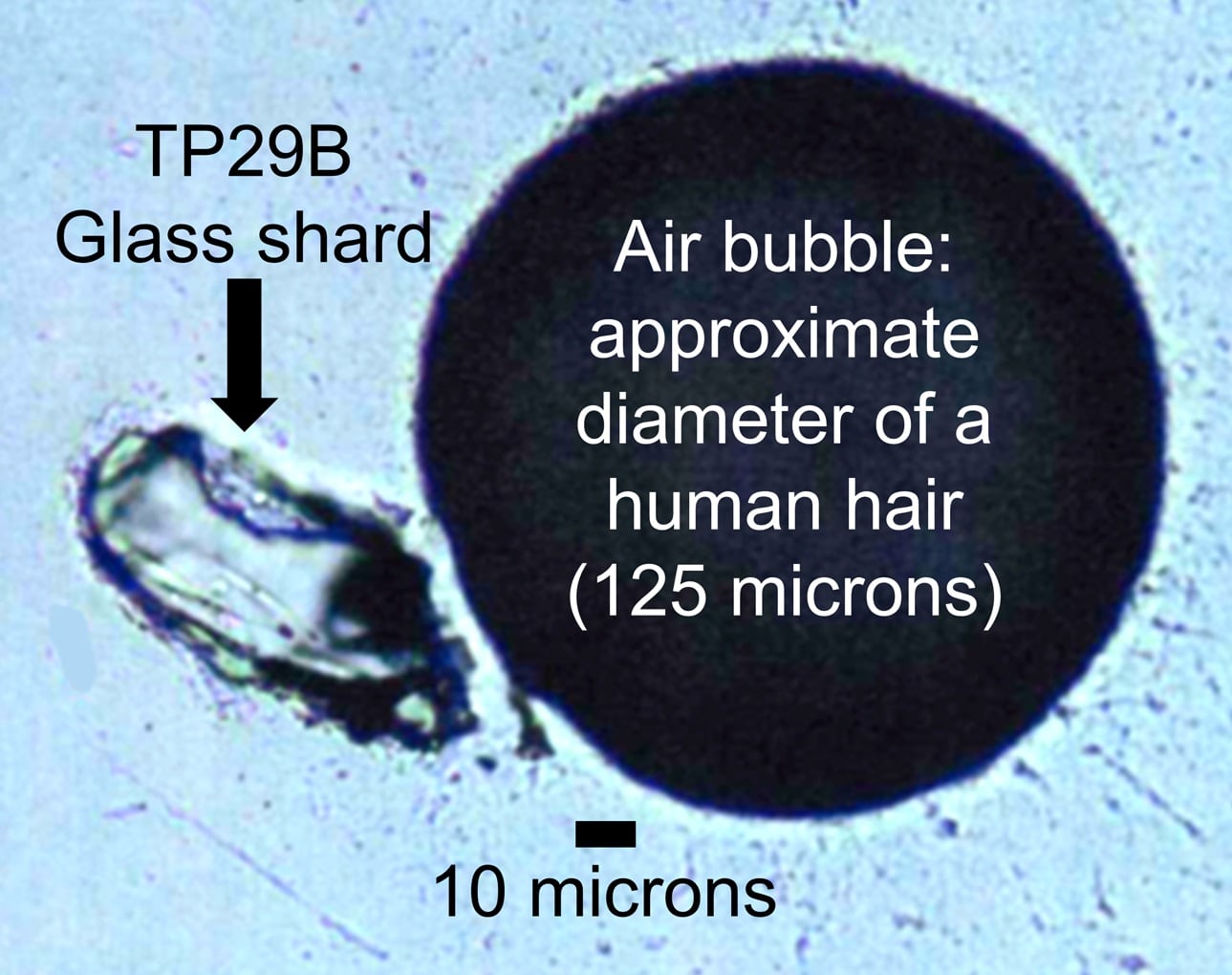 Un pequeño fragmento de vidrio de menos del diámetro de un cabello humano fue recuperado de un yacimiento de la Edad de Piedra Media en el noroeste de Etiopía. Su química coincide con la del supervolcán Toba, situado al otro lado del mundo, en Indonesia. Las personas que vivieron en este sitio arqueológico sobrevivieron a la supererupción debido a su flexibilidad de comportamiento. Fotografía de Racheal Johnsen.