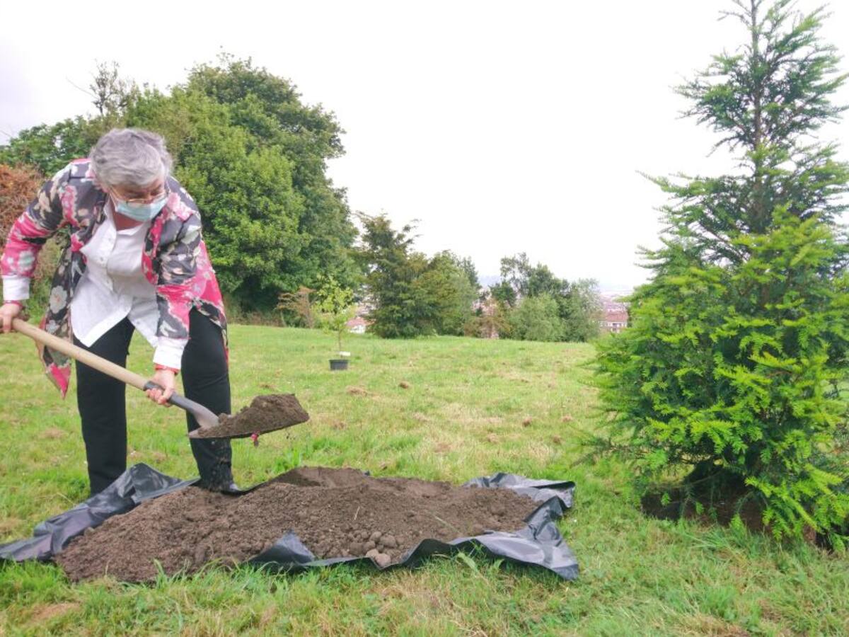 Gijón se suma a la campaña #UnArbolPor Europa