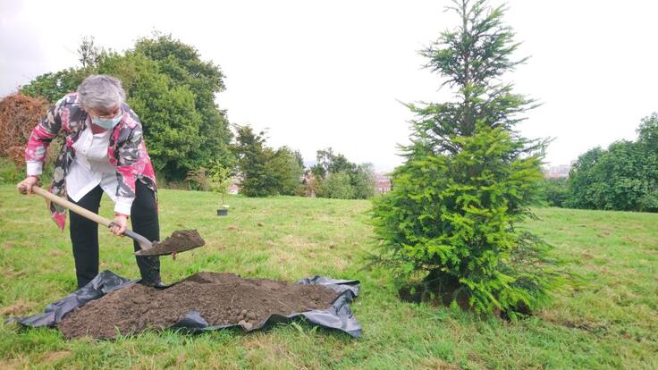 Gijón se suma a la campaña #UnArbolPor Europa