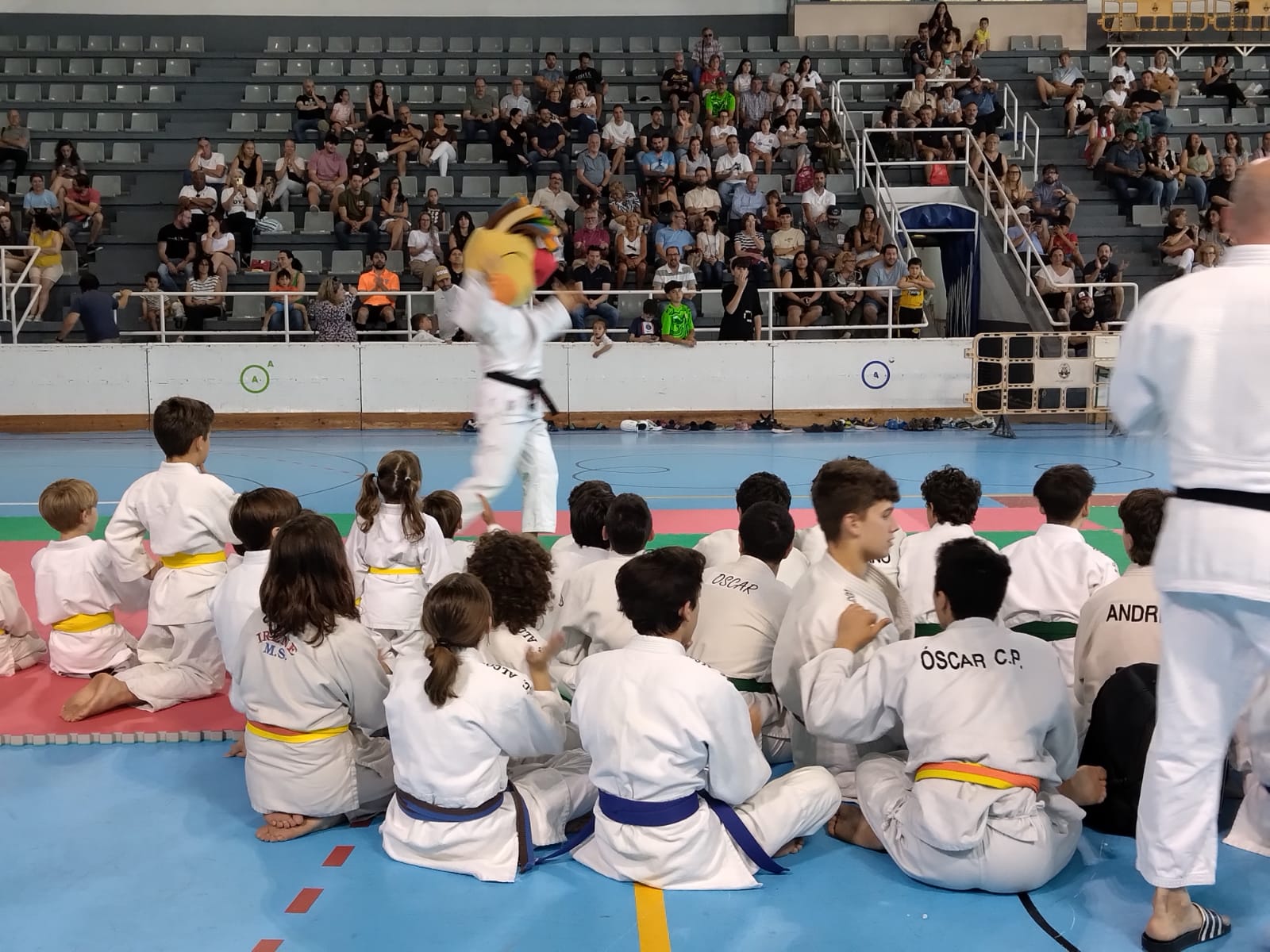 Judo en els Josc Escolars