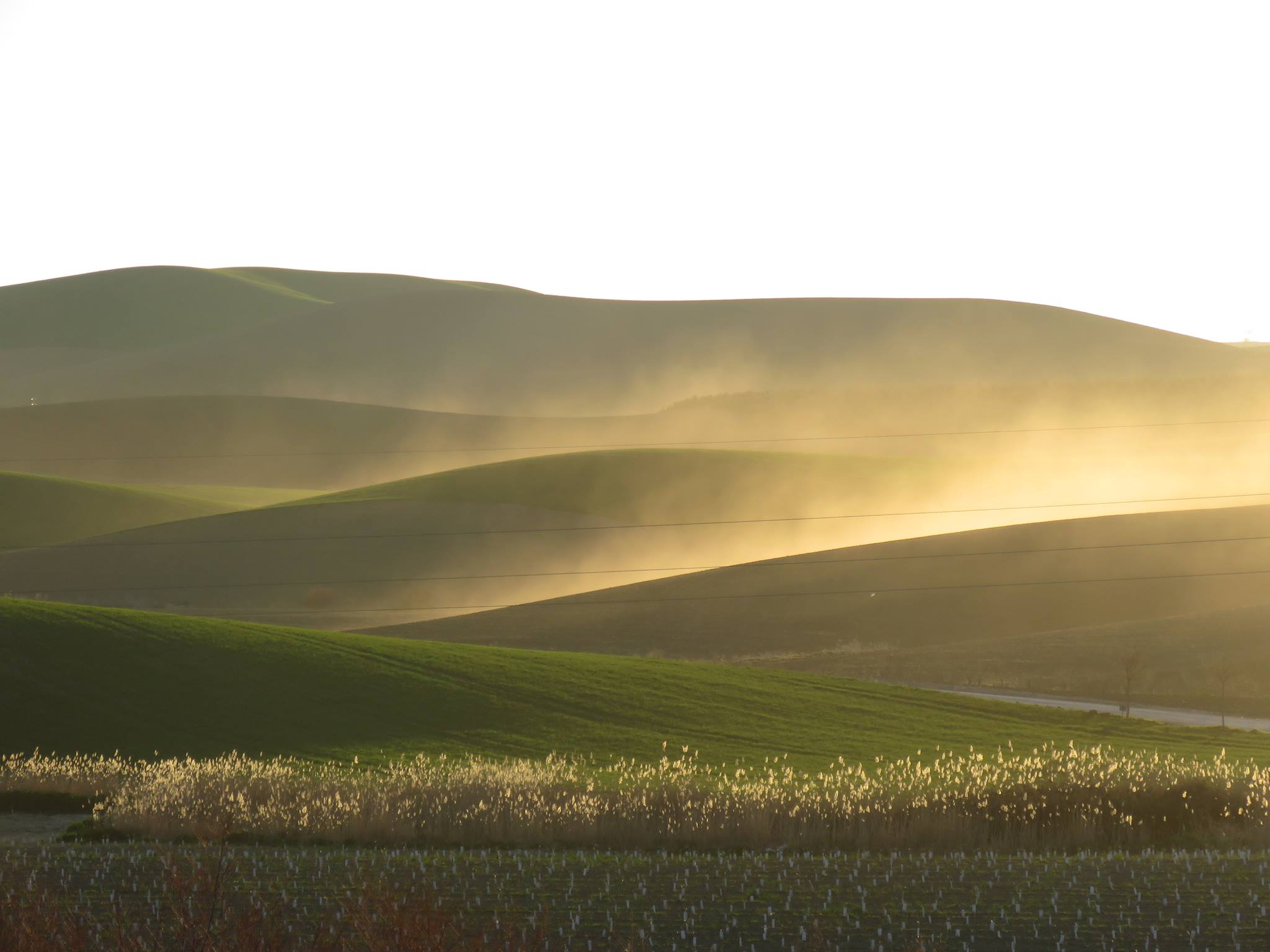 Panorámica de la campiña de Córdoba