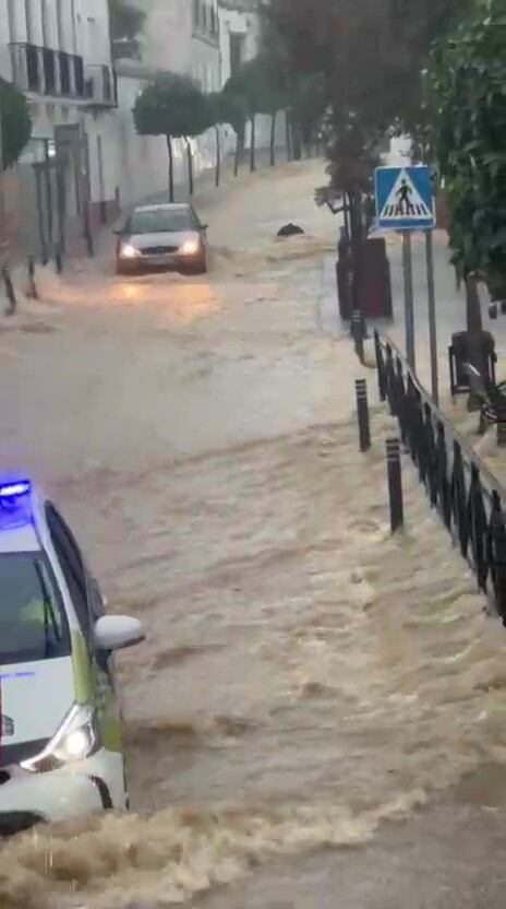 Efectos del temporal en Pilas este miércoles