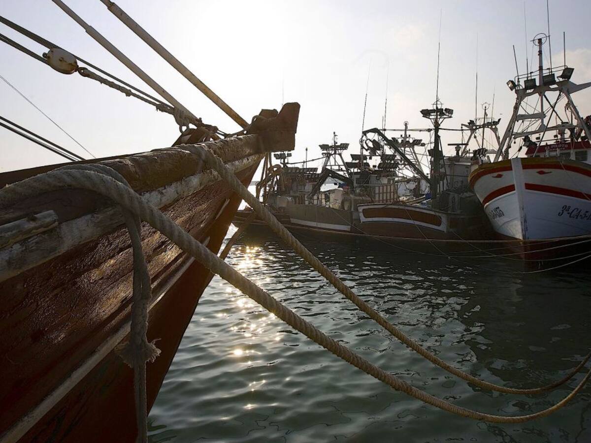 La Comisión Europea aprueba un paquete extraordinario de apoyo al sector pesquero por la crisis del covid-19