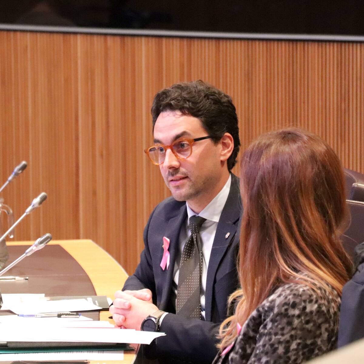 La llei de l'Aigua inclourà l'Agència Nacional