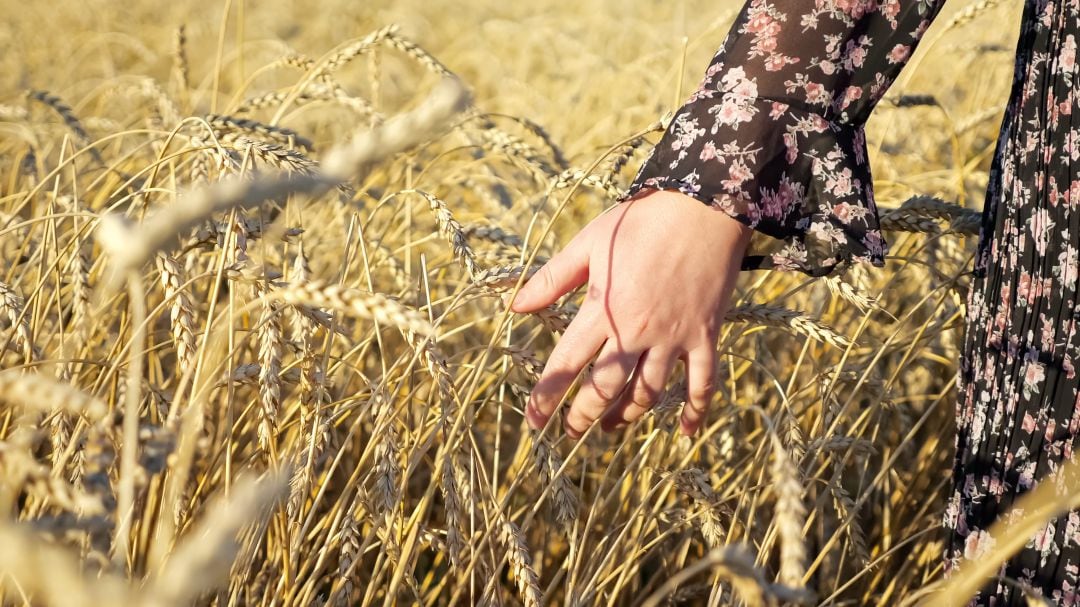 Deméter era la diosa griega de la agricultura y se suele representar junto a cereales como el trigo