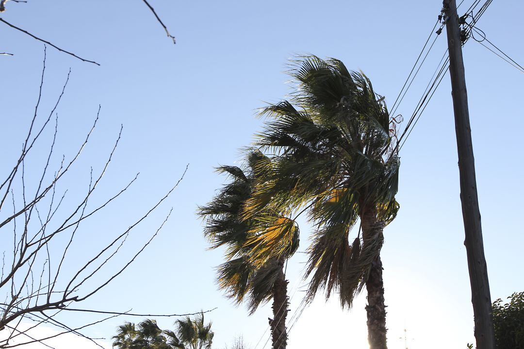 La Agencia Estatal de Meteorología ha activado el aviso amarillo por temporal de viento en el interior de Castellón