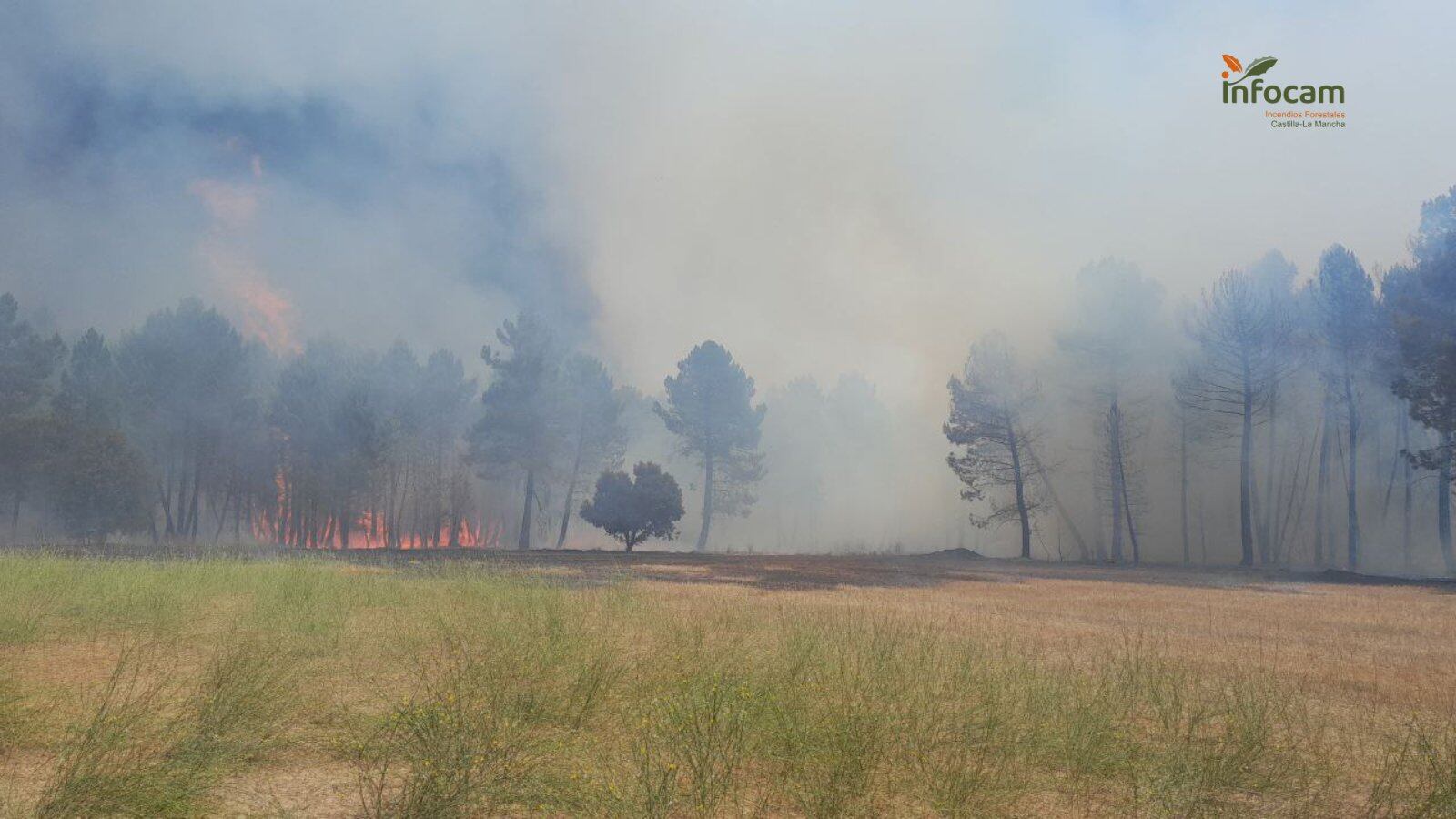Incendio en Almodóvar del Pinar (Cuenca)