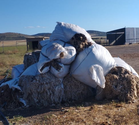 Balas de lana en una explotación ganadera de Torrenueva (Ciudad Real)