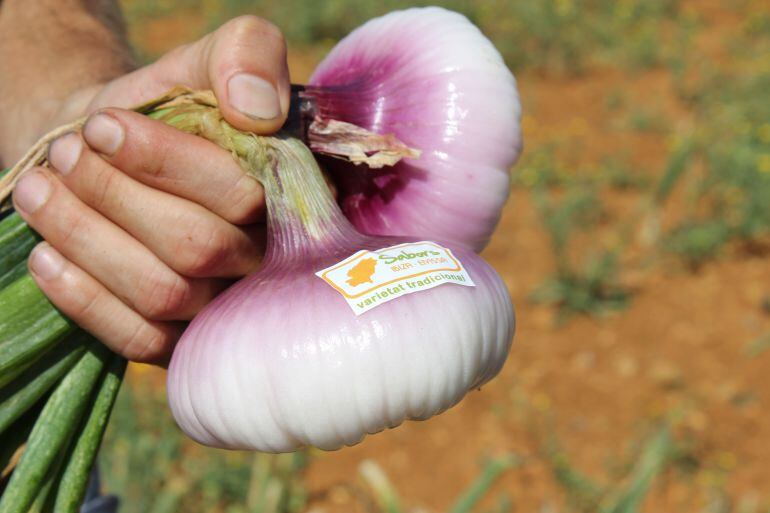 Muestra de cebolla roja con el etiquetado de &#039;Sabors d´Eivissa&#039;