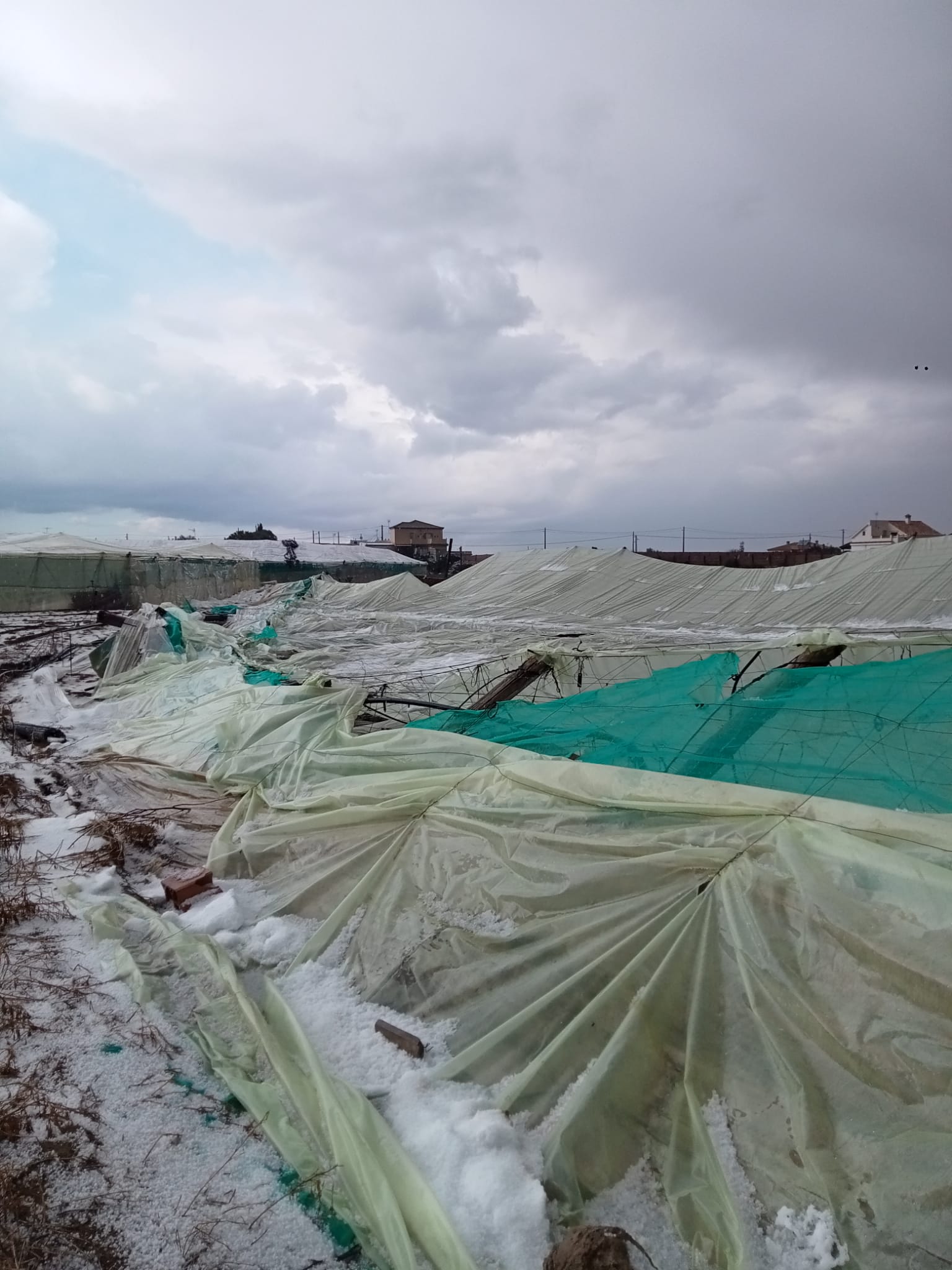 Invernadero de La Algaida tras la lluvia de granizo