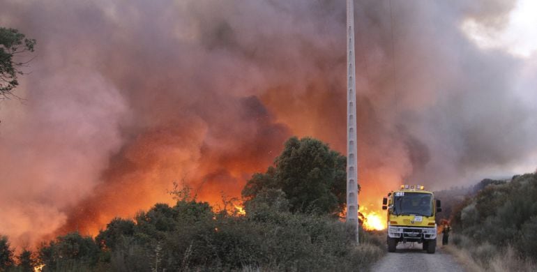 Numerosos medios de las provincias de Salamanca y Cáceres han sido movilizados para intentan sofocar un fuego en el sur de la provincia salmantina 